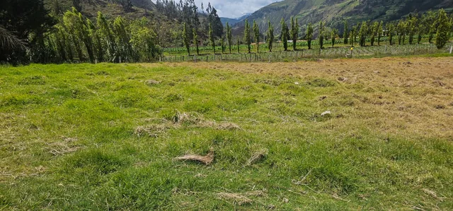 Foto de Terreno