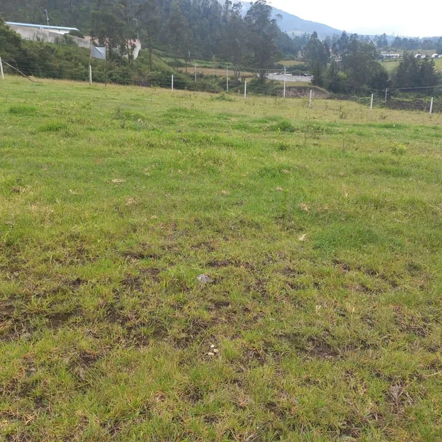 Foto de Se Vende Terreno de 2892 m² en Caranqui, Sector La Palestina, Imbabura