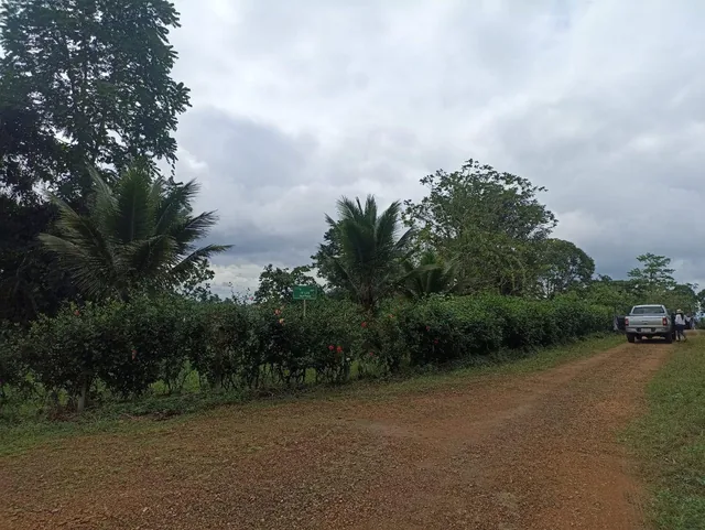 Foto de Vendo Terreno Esquinero 1190 m² Pedro Vivente Maldonado, Vista