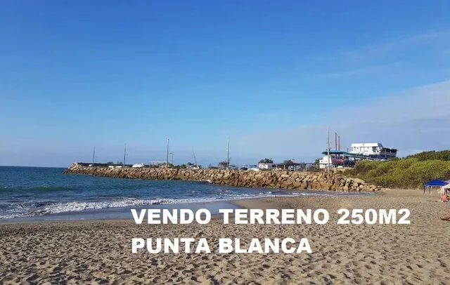 Foto de Terreno de 250 m² en Venta en Punta Blanca