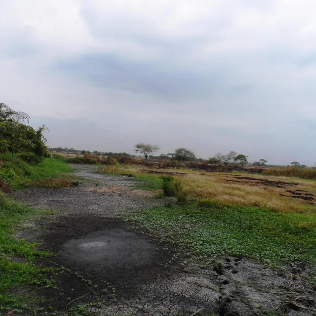 Foto de Venta de Terreno Industrial Alto Impacto Duran Tambo 47000 m² Pie de Via, Guayas