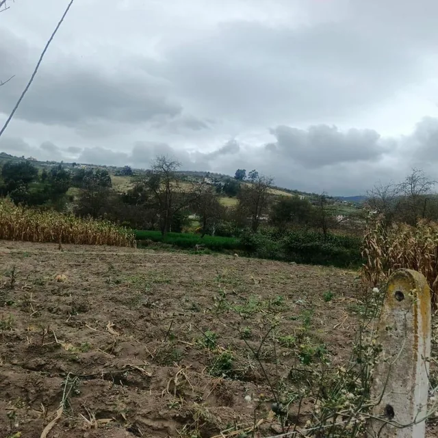 Foto de Terreno Plano Sector Martínez, Tungurahua