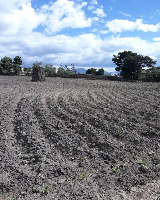 Foto de De Venta Hectárea de Terreno en Atuntaqui, Imbabura