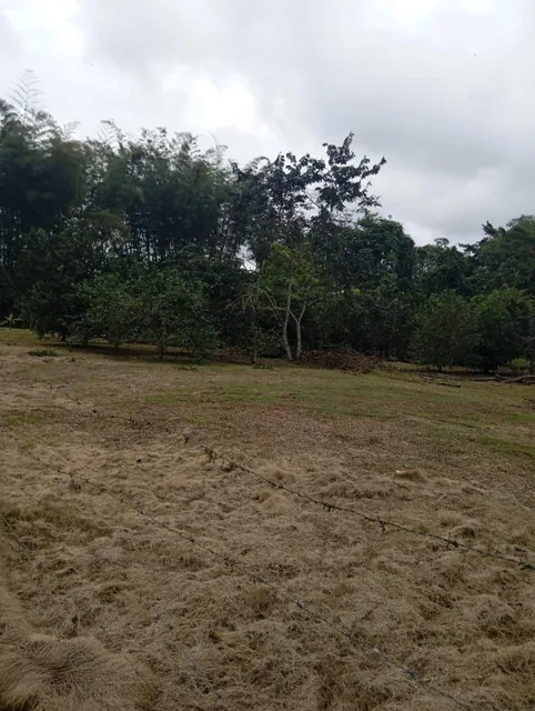 Foto de En Venta Terrenos en Urbanización Privada, Pedro Vicente Maldonado Cerca a Quito