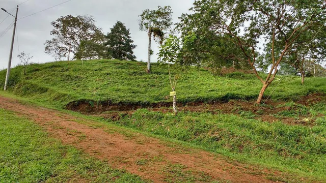 Foto de Venta Lotes de Terreno Desde 5000 m² - Pedro Vicente Maldonado