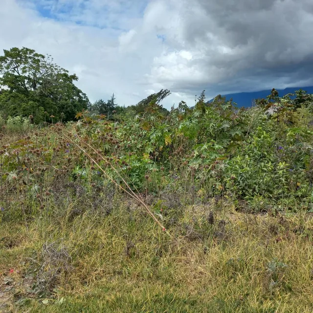 Foto de Terreno en Atuntaqui, Imbabura