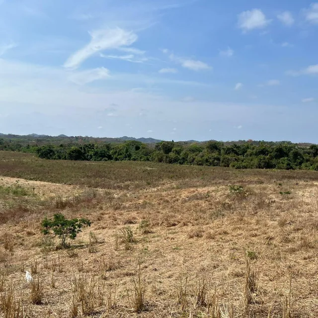 Foto de Vendo Terrenos Agricolas en Sector Chongon Guayaquil, Guayas