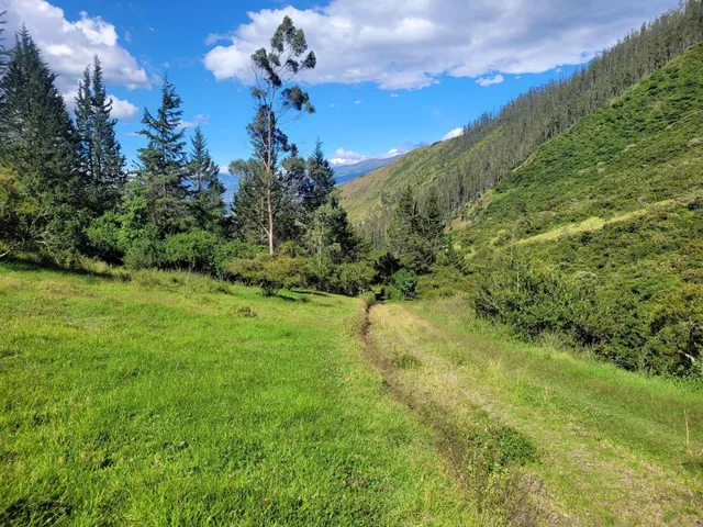 Foto de Terreno de 16000 m² en Venta en Tumbaco