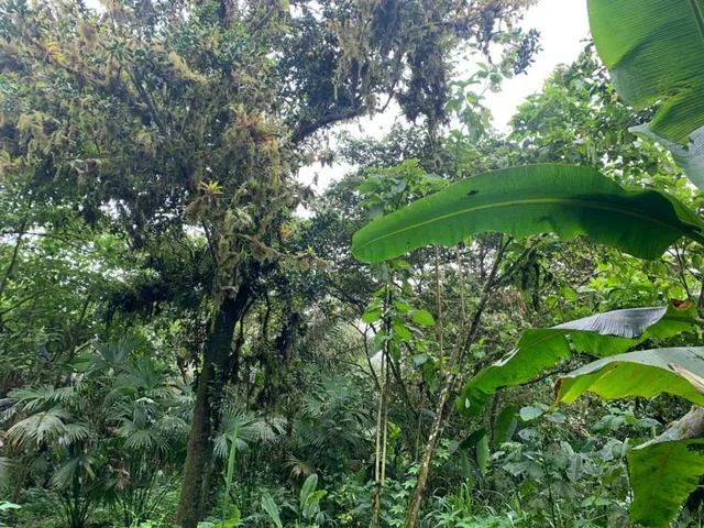 Foto de Finca de Venta en Bosque Pacoche Manta Manabí Bl, Manabí