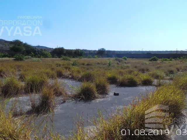 Foto de Montecristi - Manabí, Terreno en Venta de 29,70 Ha Más Galpones y Oficinas, Manabí