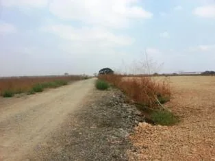 Foto de Venta de Terreno Industrial 3220 m² de Alto Impacto Zi3 en Durán Tambo, Medidas 27x119. Guayas