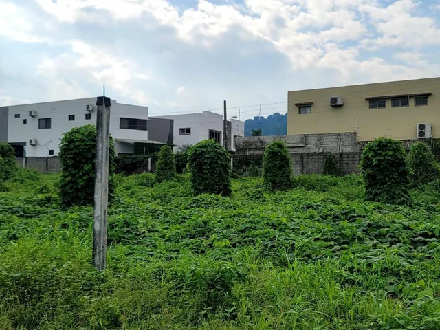 Foto de En Venta Terreno de 130.818 m en Vía a La Costa - Km 15 - Mae. Recalde, Guayas