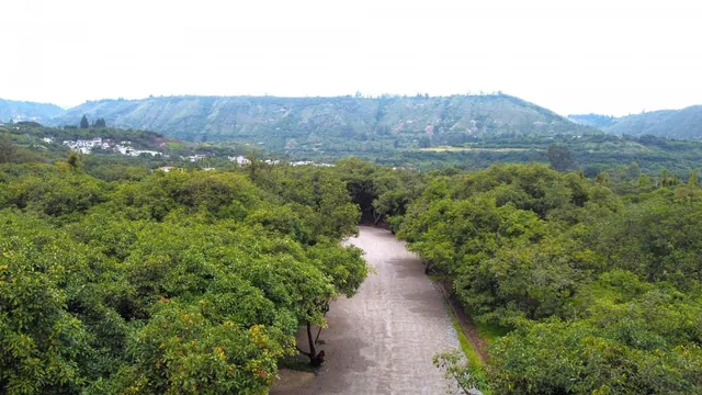 Foto de Se Vende Hacienda Guayllabamba, 17 Has 170.000 m² Varias Casas