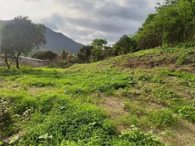Foto de Terreno 1000 m en La Vía de Montecristi Portoviejo Asantos, Manabí
