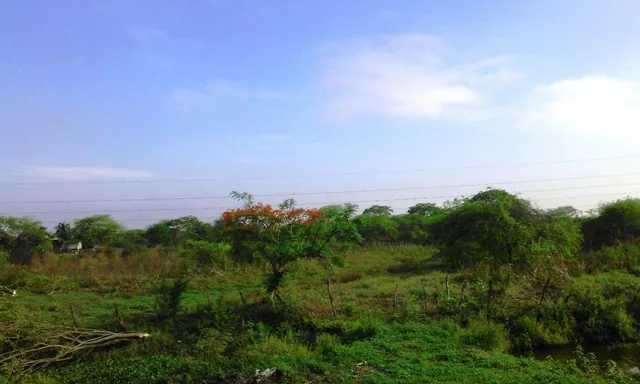 Foto de Venta 53,000 m² Terreno Industrial Pie de Via Duran Tambo, Guayas