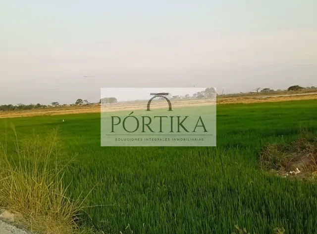Foto de Venta Terreno - La Aurora - Km 6. /2 Vía Salitre, Guayas