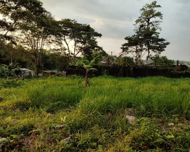 Foto de Oportunidad Terreno 13,700 m² Totales con 200 m² Frent a Carreter Pedr Vice Maldo