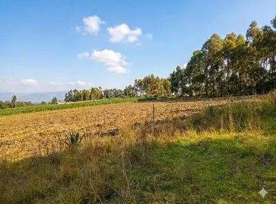 Foto de Terreno en Venta Malchingui