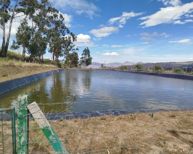 Foto de Terreno en Venta Apto Para Flores