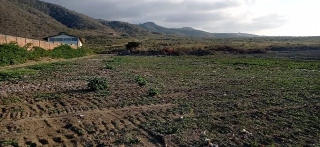 Foto de Terreno de Venta en Montecristi Zona Norte R/b, Manabí