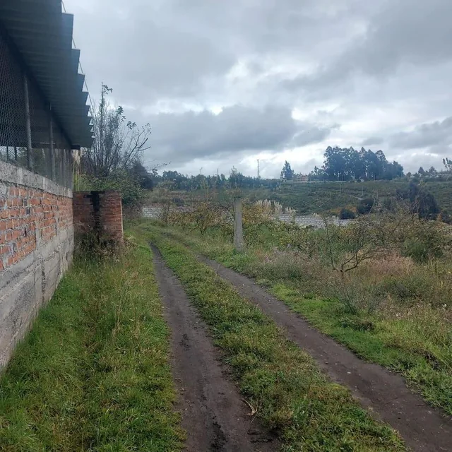 Foto de Terreno Plano en Venta Mocha Tungurahua, Tungurahua