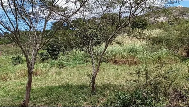 Foto de Amplio Terreno en Venta Sector Patapata, Azuay