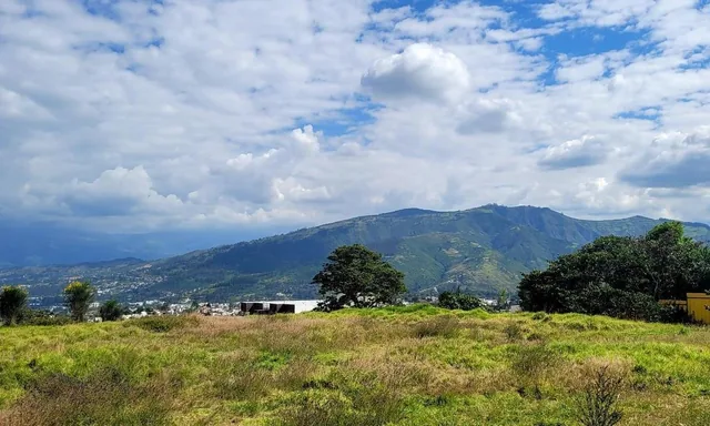 Foto de Terreno en Arriendo Para Distinto Tipo de Negocio