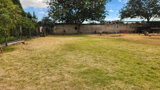 Foto de Terreno de 2560 m² en Alquiler en Tumbaco Mas Suite
