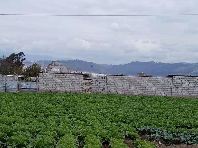 Foto de Terreno Plano de 875 m en El Sector Izamba. Tungurahua