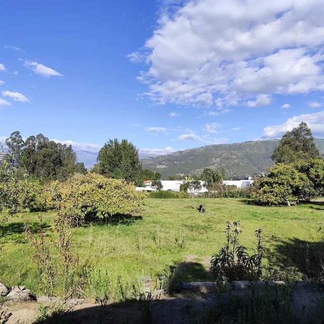 Foto de Terreno en Renta en San Francisco de Pinsha, 4.000 m², Ideal Para Turismo, Eventos y Gastronomía
