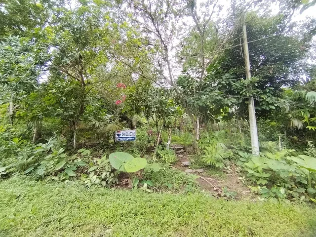 Foto de Terreno en Venta, Pacto, Comunidad Mashpi. Provincia de Pichincha