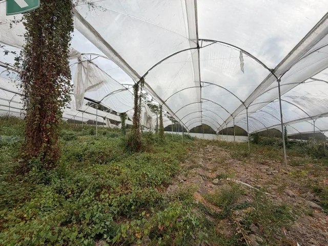 Foto de Propiedad en Venta 1,8 Has - Atuntaqui, Imbabura