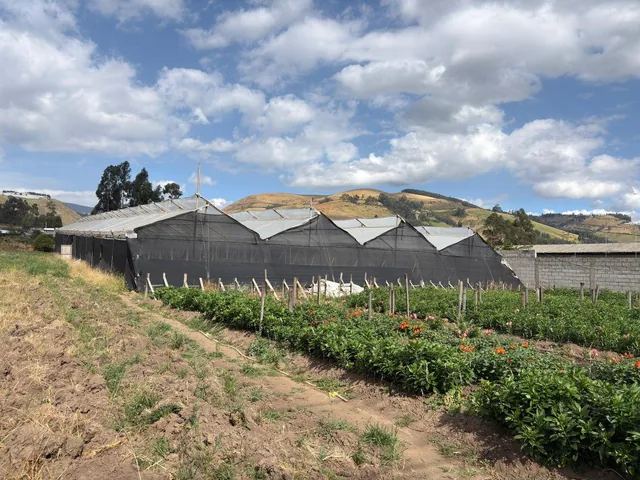 Foto de Lote de Terreno en Venta Cayambe