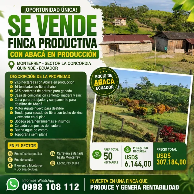 Foto de Se Vende Finca con Abacá en Produccion, en Monterrey - La Concordia - Santo Domingo - Ecuador
