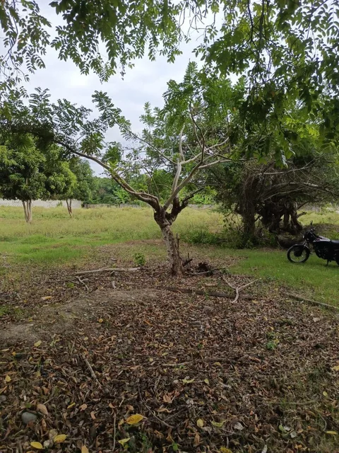 Foto de Inversión Estratégica en Tonsupa | Terreno 1.500 m²