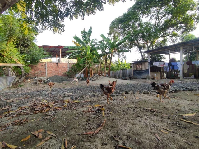Foto de Vendo Hermoso Terreno en Los Tamarindos Portoviejo, Manabí