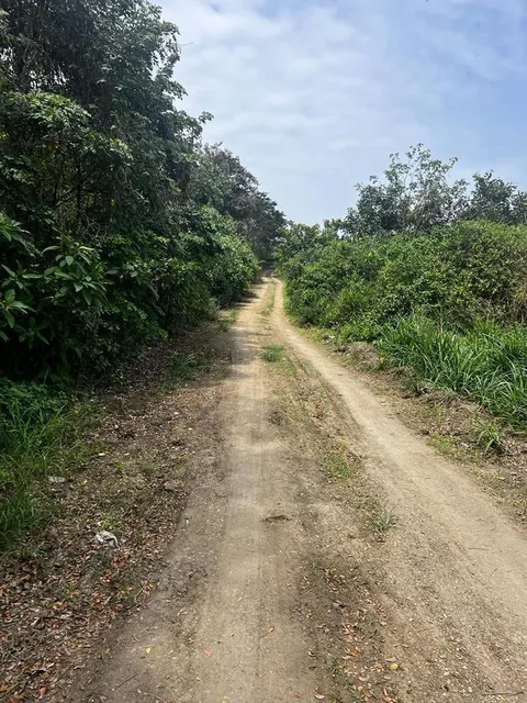 Foto de Venta Terreno Cultivo - Hotel Pedernales - Cojimies (Ecuador) 6300 m² Oportunidad, Manabí