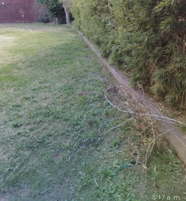 Foto de Terreno Excelente Ubicación Para La Construcción de Estudios