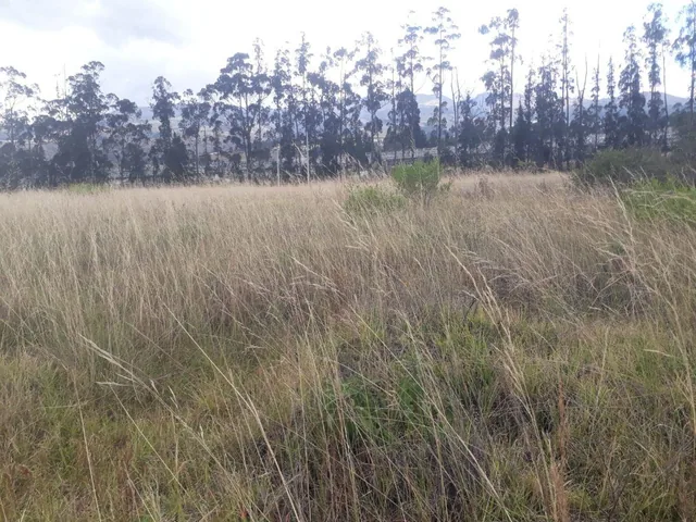 Foto de Venta Terreno Solanda, San Bartolo 2'000.000