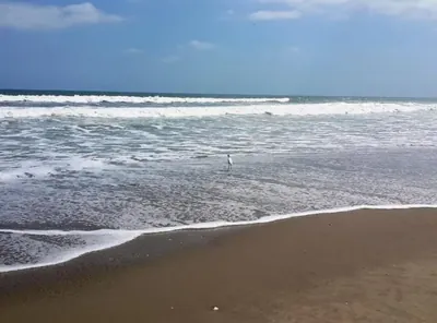 Foto de Venta Terreno en Playas Vista Al Mar, Guayas