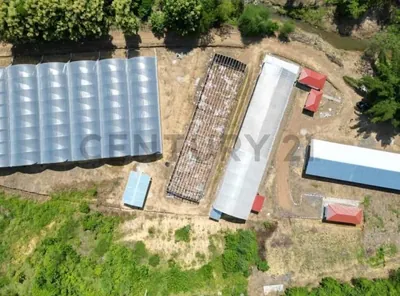 Foto de Hacienda Productora de Biomasa de Cbd