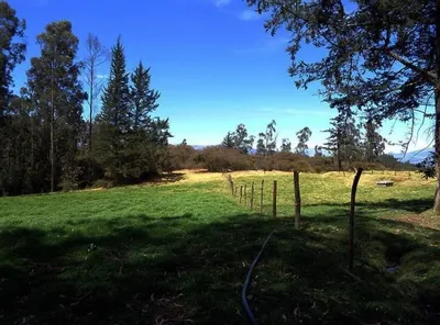 Foto de Terrenoterreno en Venta Sector Inga, 91,78 Has, Hacienda, Ruta E35
