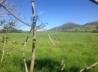 Foto de Vendo Terreno Plano 32.736 m² Urbanizado $30 Xm², Urbano, Urcuquí, Imbabura, Vía, Imbabura