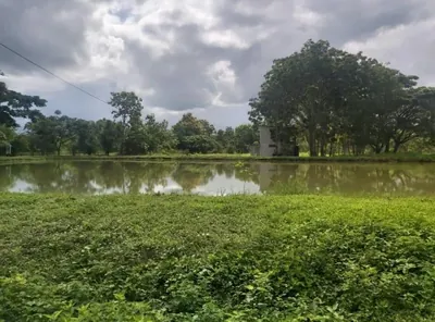 Foto de Venta 30 Has Km. 24 Chongon - daular (Colinda con Terreno del Futuro Nuevo Aeropuerto - Guayaquil), Guayas