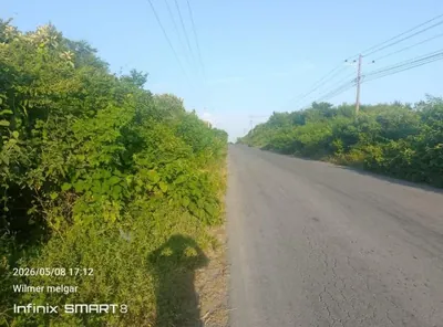 Foto de Hacienda Agrícola y Forestal 21.03 Has con Teca – Chongón, Guayaquil - Mons Garcia, Guayas