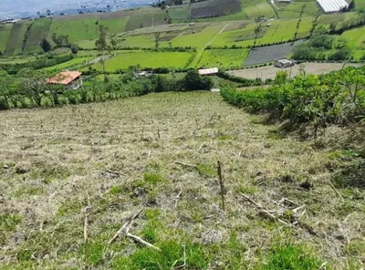 Foto de Terreno en Venta de 2,198.54 m² El Condado
