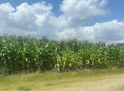 Foto de Terreno de Venta en Tonsupa