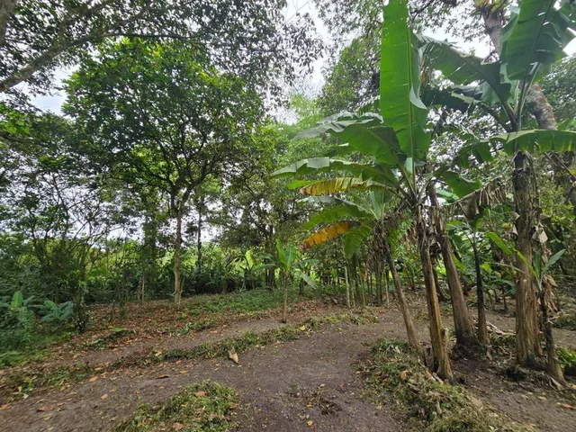Foto de Terreno de Venta en Manta Zona Sur Pacoche, Manabí