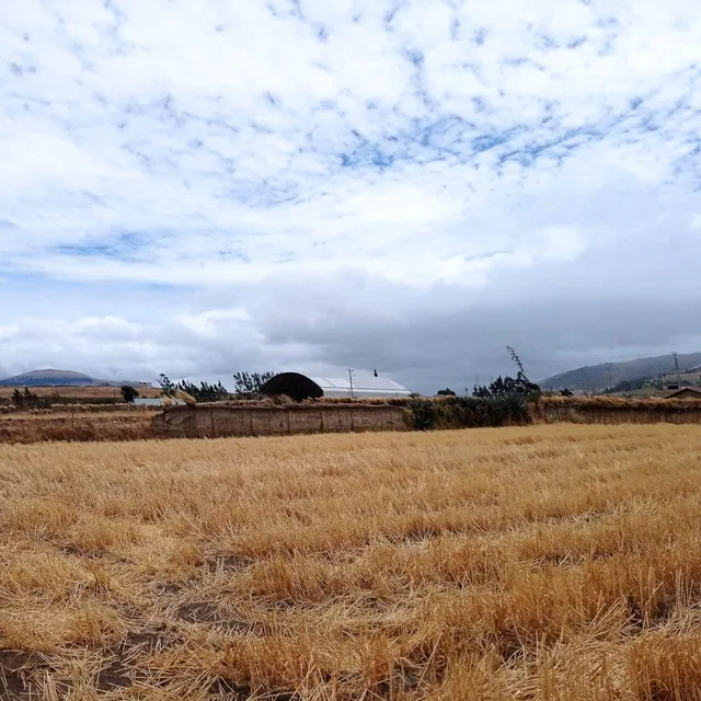 Foto de Terreno 1527 m² Esquinero Sector Olmedo, Cayambe