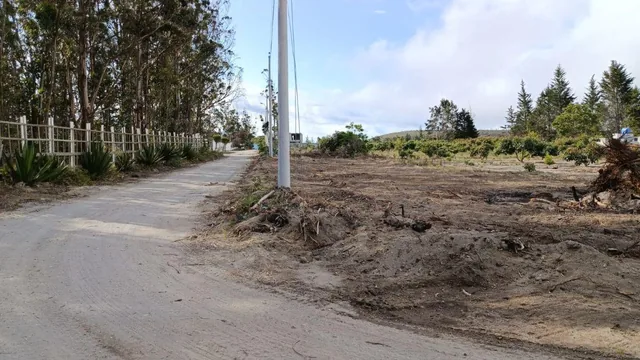 Foto de Venta de Terreno Malchingui, San Juan 1000 m²